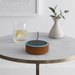 史低价：Amazon Echo Dot 保护壳 (仅适用于Echo Dot 2代)