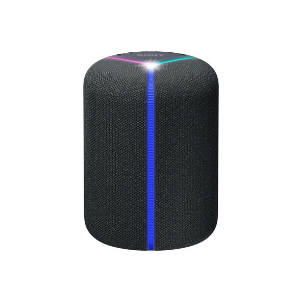 Sony SRS-XB402G EXTRA BASS 便携无线音箱