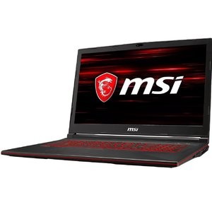 MSI GL73 17.3" 游戏本 (i5 9300H, 1050Ti, 8GB, 256GB SSD)