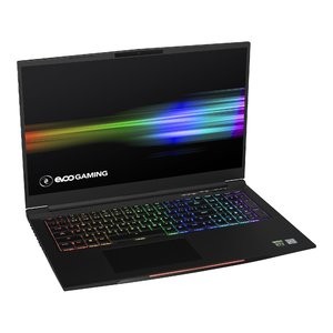 EVOO 17.3吋 游戏笔记本电脑 (i7-9750H, 2060, 16GB, 1TB, 144Hz)