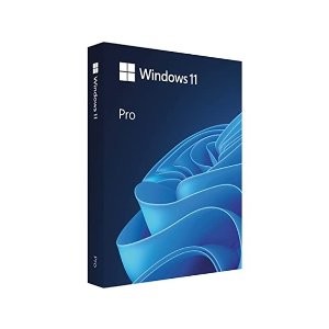 Microsoft Windows 11 Pro 操作系统