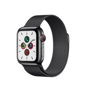 Apple Watch Series 5 蜂窝版 40mm 不锈钢版+米兰尼斯表带