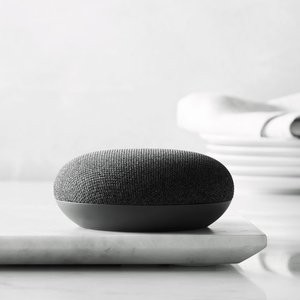 Google Home mini/Echo Dot语音助手 + 智能插座套装