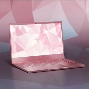 雷蛇 Razer Blade Stealth 13 Quartz Pink 笔记本