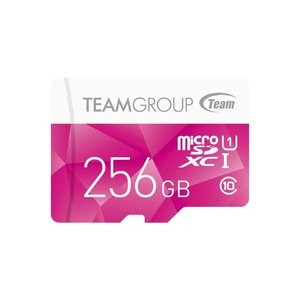 Team Group 256GB Color microSDXC 存储卡