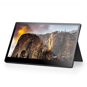 SainSonic EVOPIX 15.6" 全高清 便携触摸式 IPS显示屏