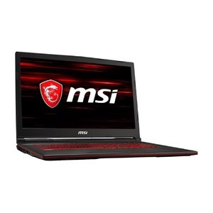 MSI GL73 17.3" 游戏本 (i7-9750H, 1660Ti, 8GB, 256GB)