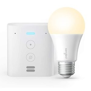 Amazon Echo Flex 插座式 Alexa 智能语音助手+智能灯泡
