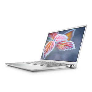 Dell Inspiron 15 5000 超值本 (i5-1135G7, 12GB, 256GB)