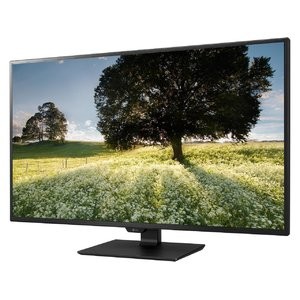 LG 43MU79-B 43" 4K IPS Type-C 显示器