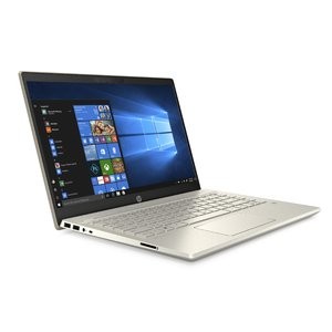 HP Pavilion 14" 笔记本 (i5-8265U, 8GB, 256GB)