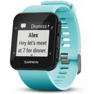 Garmin Forerunner 35 GPS 运动手表 霜蓝色款