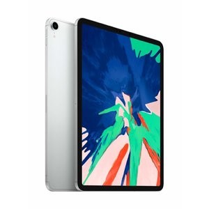 Apple iPad Pro (11吋, Wi-Fi + Cellular, 256GB) - 银色