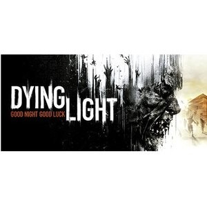 消逝的光芒 - PC Steam