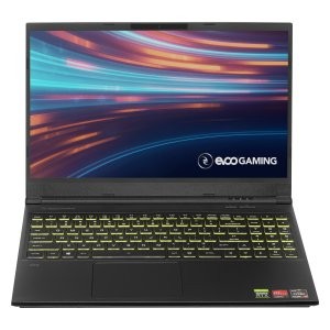 EVOO Gaming 15吋 游戏笔记本 (4800H, RTX2060, 16GB, 512GB)