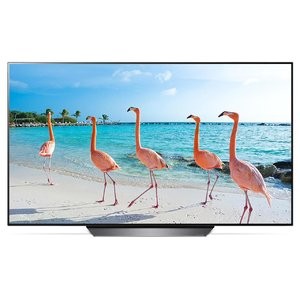 LG B8 55吋 OLED 4K HDR智能电视 2018款