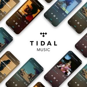 TIDAL HIFI 3个月 高品质无损音乐服务