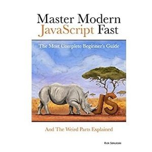 Master Modern JavaScript Fast 初学者指南 电子书