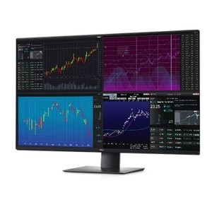 Dell UltraSharp U4320Q 43" 4K IPS USB-C 显示器